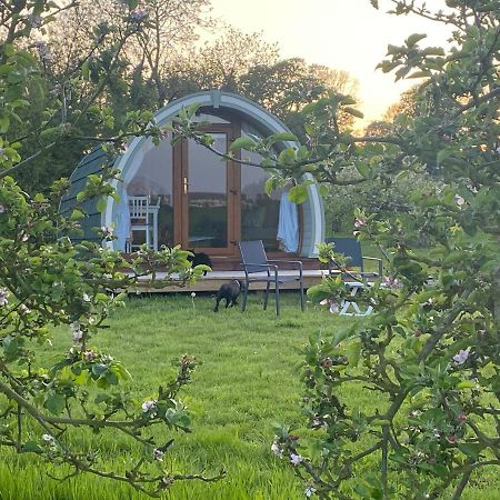Hotel Orchard Luxe Glamping Pod Dungannon Exterior foto