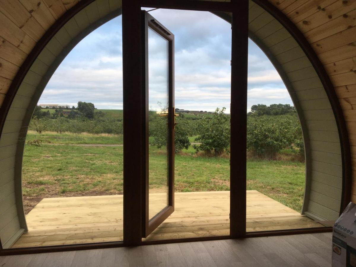Hotel Orchard Luxe Glamping Pod Dungannon Exterior foto